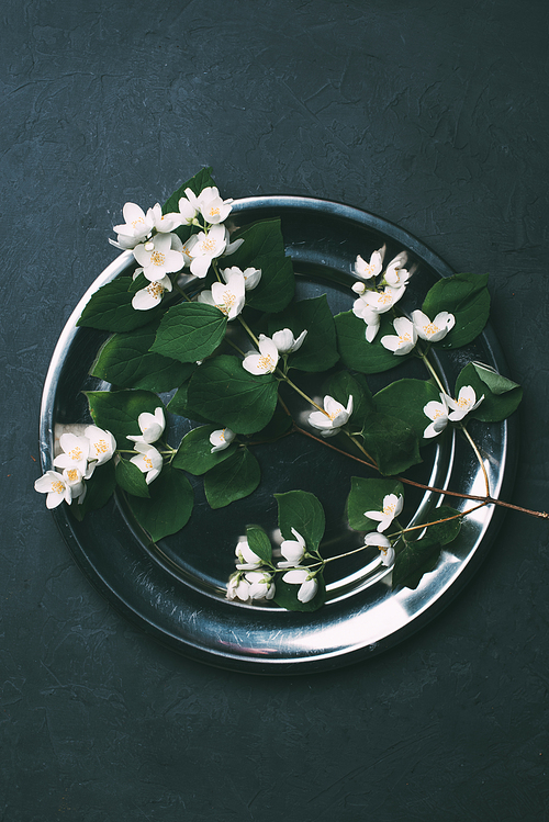 top view of beautiful white blooming jasmine flowers on shiny metal plate