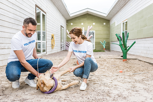 two volunteers of animals shelter playing with labrador dog