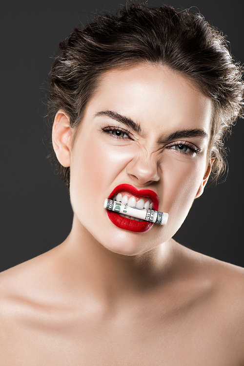attractive aggressive girl holding dollar banknote in teeth, isolated on grey