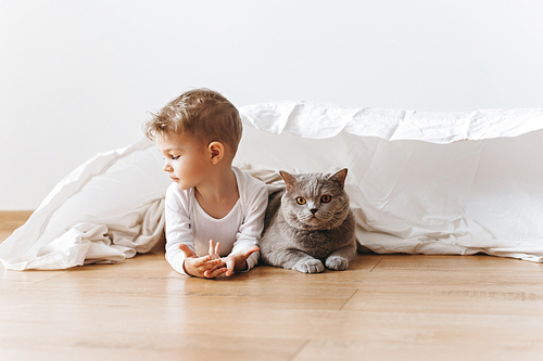 adorable toddler boy and grey british shorthair cat lying on floor together at home