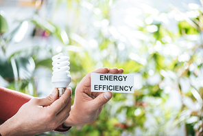 cropped view of man holding fluorescent lamp and card with lettering, energy efficiency concept