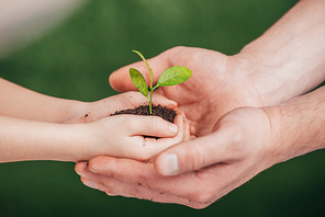 cropped view of man holding child hands with young plant on blurred background, earth day concept