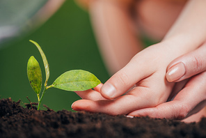 selective focus of woman and kid hands near young green plant growing in ground on blurred background, earth day concept