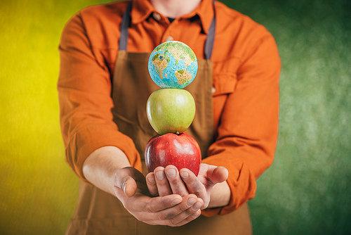 selective focus of man holding apples and globe model on blurred background, earth day concept