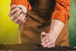 selective focus on planting with hands in ground on blurred background, earth day concept