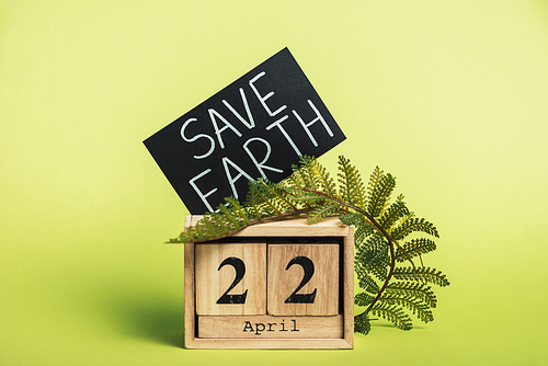wooden calendar with date 22 april and green fern leaf on light green background