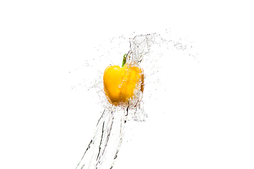 yellow bell pepper in water splashes isolated on white