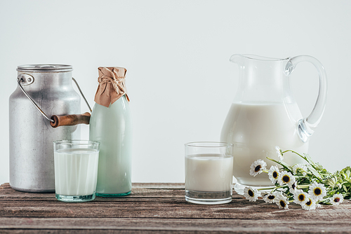 jugs, bottle and two glasses of fresh milk with chamomile flowers on shabby wooden tabletop