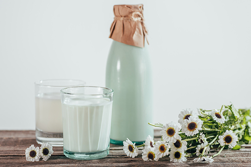 bottle and two glasses of fresh milk with chamomile flowers on wooden tabletop