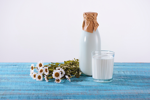 bottle and glass of fresh milk with chamomile flowers on turquoise wooden tabletop