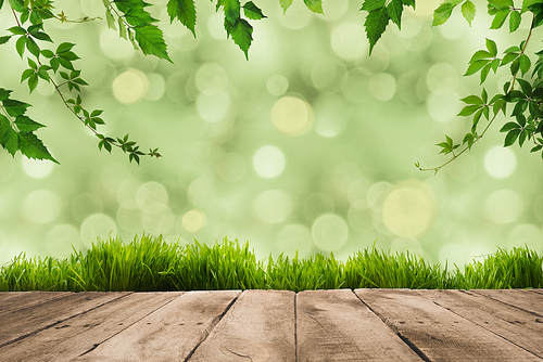 green leaves on twigs, sward and wooden planks with green blurry background