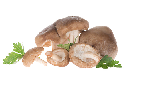 Unprocessed mushrooms with parsley isolated on white
