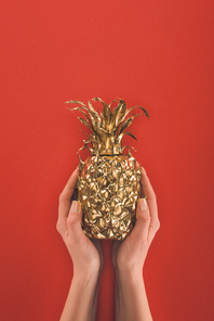 cropped shot of female hands holding golden pineapple isolated on red