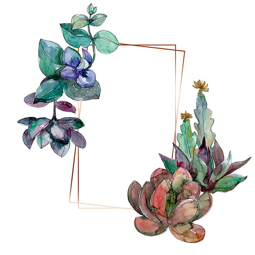 Succulents floral botanical flowers. Wild spring leaf wildflower isolated. Watercolor background illustration set. Watercolour drawing fashion aquarelle isolated. Frame border ornament square.