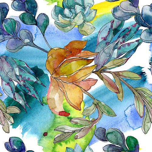 Succulents floral botanical flowers. Wild spring leaf wildflower. Watercolor illustration set. Watercolour drawing fashion aquarelle. Seamless background pattern. Fabric wallpaper print texture.
