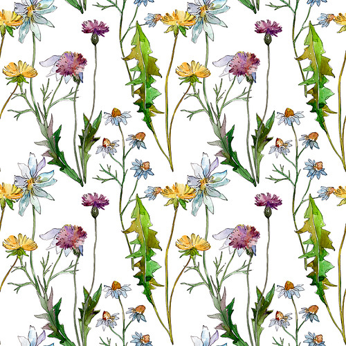 Wildflowers floral botanical flowers. Wild spring leaf wildflower. Watercolor illustration set. Watercolour drawing fashion aquarelle. Seamless background pattern. Fabric wallpaper print texture.