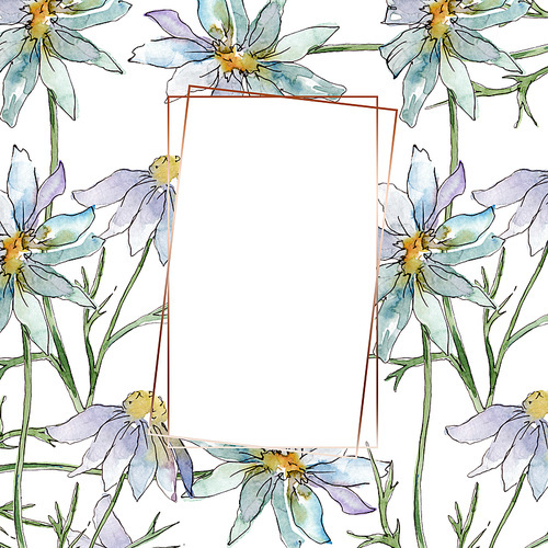 Wildflowers floral botanical flowers. Wild spring leaf wildflower isolated. Watercolor background illustration set. Watercolour drawing fashion aquarelle isolated. Frame border ornament square.