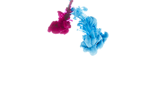 mixing of blue and pink paint splashes isolated on white with copy space