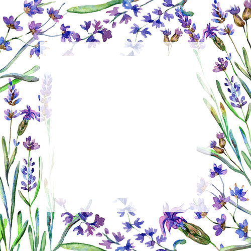 Purple lavender. Floral botanical flower. Wild spring leaf. Watercolor background illustration set. Frame border square.