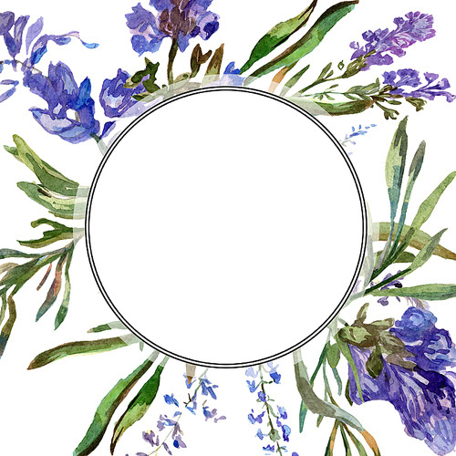 Purple lavender. Floral botanical flower. Wild spring leaf. Watercolor background illustration set. Round frame border.