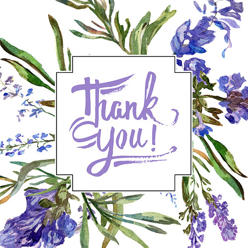 Purple lavender. Thank you handwriting monogram calligraphy. Floral botanical flower. Wild spring leaf. Watercolor background illustration set. Frame border square.