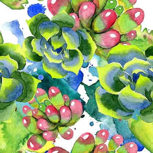 Amazing succulent. Floral botanical flower. Watercolor background illustration set. Seamless background pattern. Fabric wallpaper print texture.
