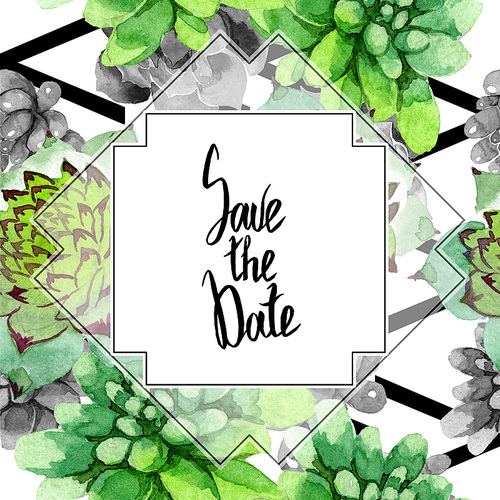 Amazing succulent. Save the Date handwriting monogram calligraphy. Watercolor background illustration set. Geometric frame square. Aquarelle hand drawing succulent.