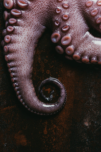 top view of uncooked octopus tentacles on rusty metal surface