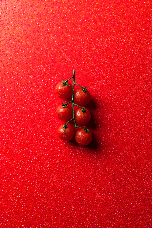 top view of cherry tomatoes on red surface with water drops