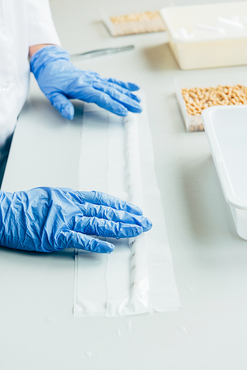 partial view of biologist in latex gloves working at table with seeds in agro laboratory