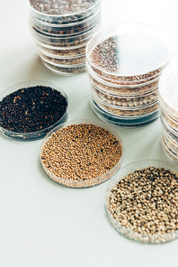 selective focus of various grains in plastic containers in modern agro laboratory