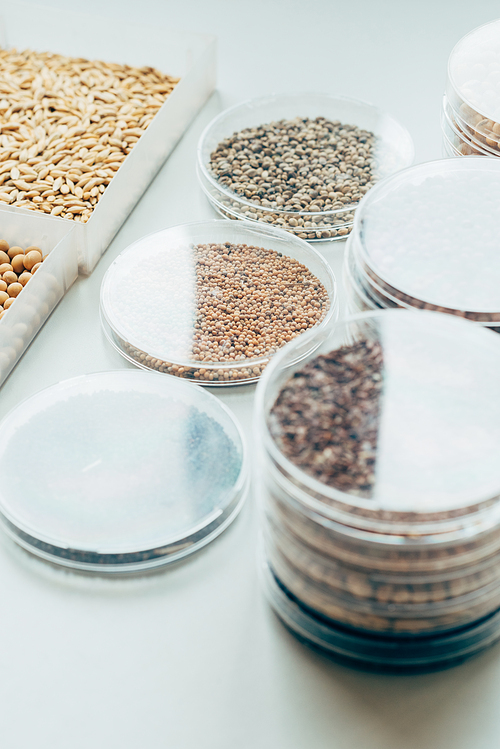 close up view of various seeds in plastic containers in modern biotechnology laboratory