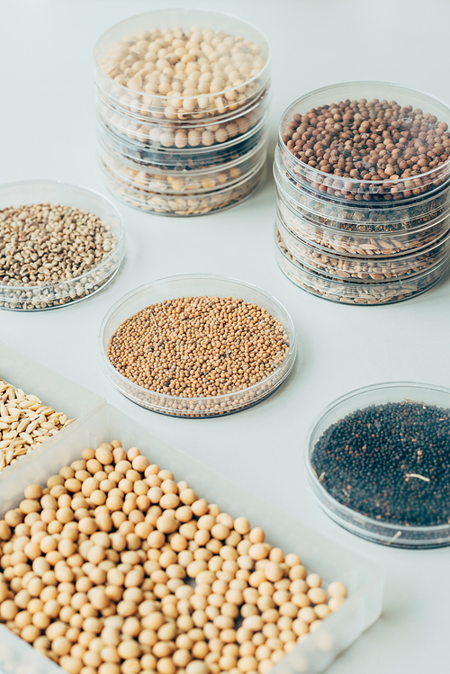 selective focus of various grains in plastic containers in modern agro laboratory