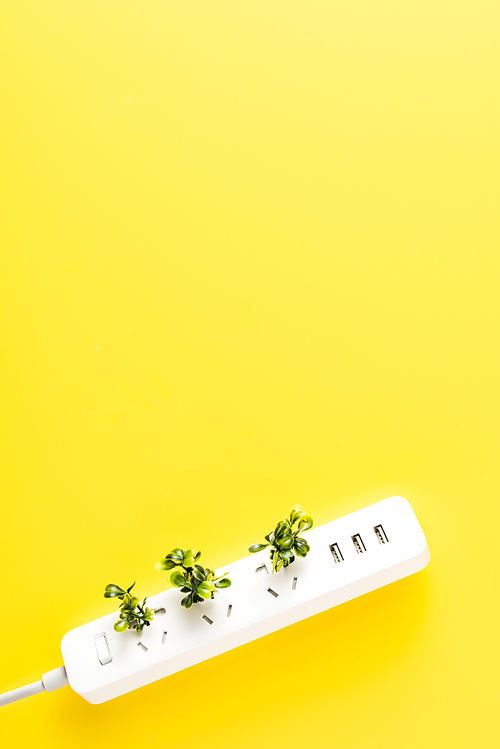 유토이미지 | 상세페이지 | 베이직샵 | 21300287 | top view of socket outlet with green twigs on yellow background, renewable... 