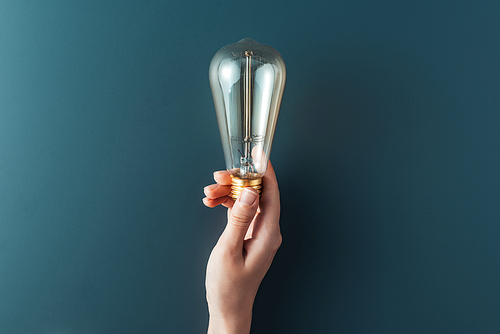 cropped shot of person holding light bulb on grey background