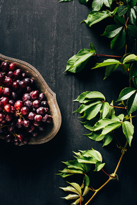 top view of fresh ripe grapes on vintage plate and green leaves on black wooden surface