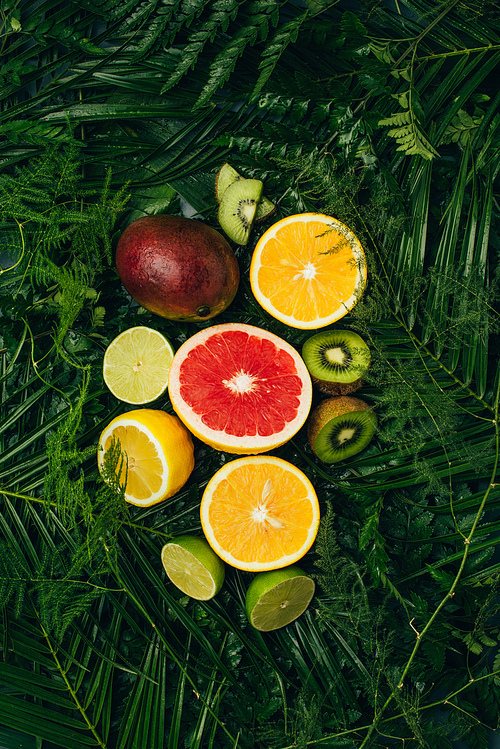 top view of juicy fruits on green palm leaves