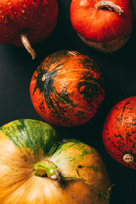 top view of autumn pumpkins on dark background