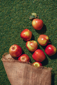 top view of red apples with sacking cloth on green grass