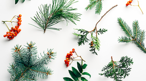 flat lay with winter arrangement of pine tree branches and 씨벅톤 on white backdrop