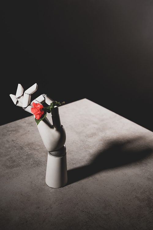 pink rose flower in robotic hand on stone table on black background
