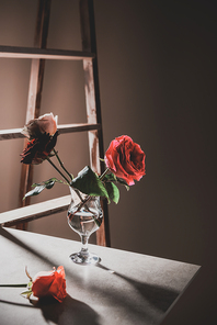 red rose flowers in wine glass on stone table with wooden ladder on background