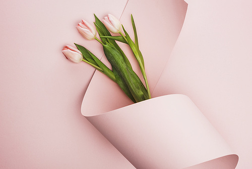 top view of tulips wrapped in paper swirl on pink background
