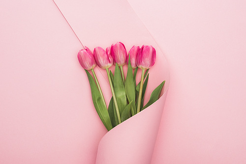 top view of pink tulips wrapped in paper swirl on pink background