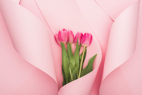 top view of pink tulips wrapped in paper spiral swirls on pink background