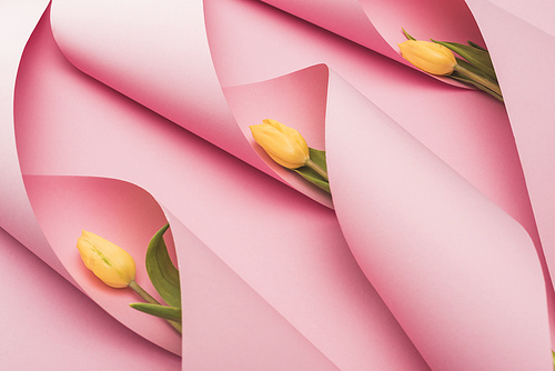 yellow tulips in paper swirls on pink background