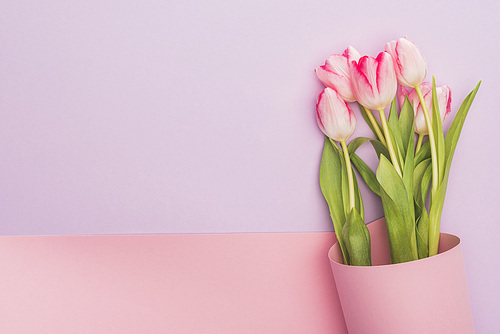 top view of tulips wrapped in pink paper swirl on violet background