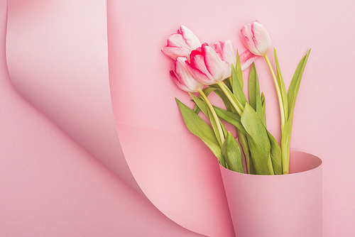 top view of tulips wrapped in paper swirl on pink background