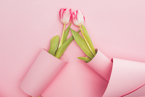 top view of tulips wrapped in paper swirls on pink background