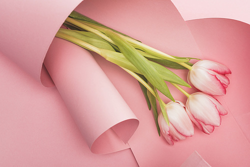 top view of blooming spring tulips wrapped in pink paper swirls